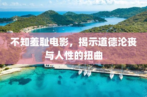 不知羞耻电影，揭示道德沦丧与人性的扭曲