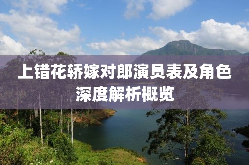 上错花轿嫁对郎演员表及角色深度解析概览
