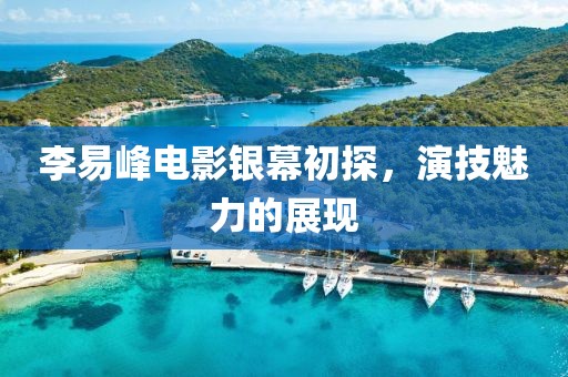 李易峰电影银幕初探，演技魅力的展现