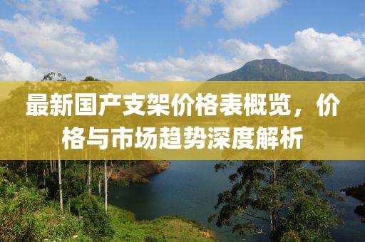 最新国产支架价格表概览，价格与市场趋势深度解析