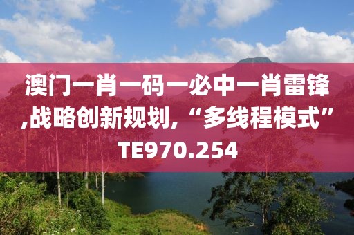 澳门一肖一码一必中一肖雷锋,战略创新规划,“多线程模式”TE970.254