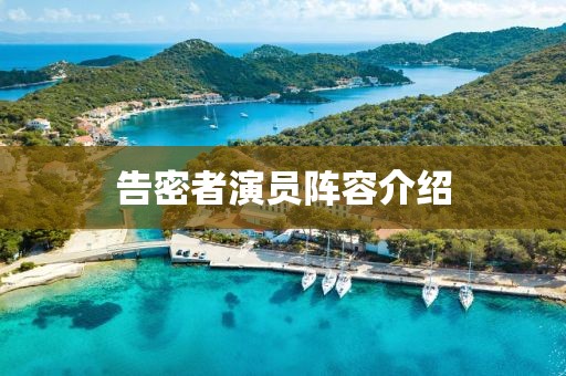 告密者演员阵容介绍