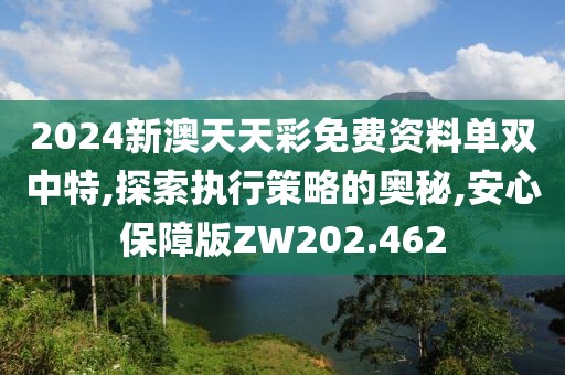 2024新澳天天彩免费资料单双中特,探索执行策略的奥秘,安心保障版ZW202.462