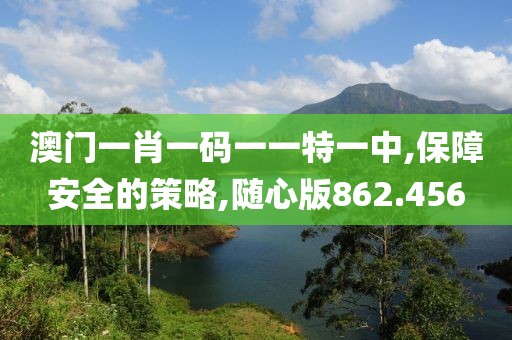 澳门一肖一码一一特一中,保障安全的策略,随心版862.456