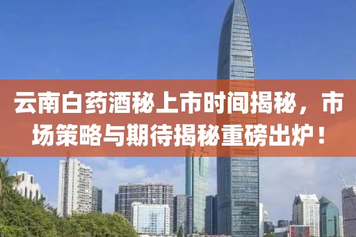 云南白药酒秘上市时间揭秘，市场策略与期待揭秘重磅出炉！