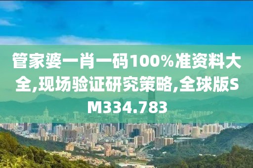 管家婆一肖一码100%准资料大全,现场验证研究策略,全球版SM334.783