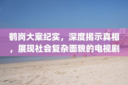 鹤岗大案纪实，深度揭示真相，展现社会复杂面貌的电视剧