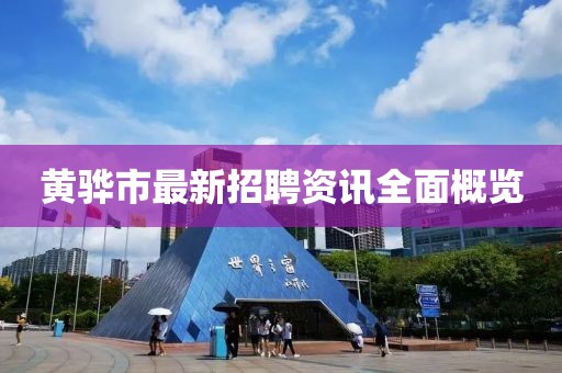 黄骅市最新招聘资讯全面概览