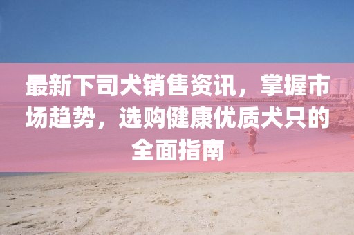 最新下司犬销售资讯，掌握市场趋势，选购健康优质犬只的全面指南