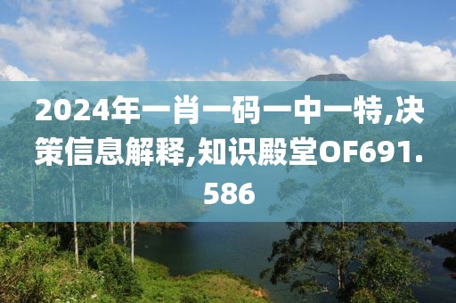 2024年一肖一码一中一特,决策信息解释,知识殿堂OF691.586