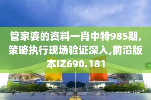 管家婆的资料一肖中特985期,策略执行现场验证深入,前沿版本IZ690.181