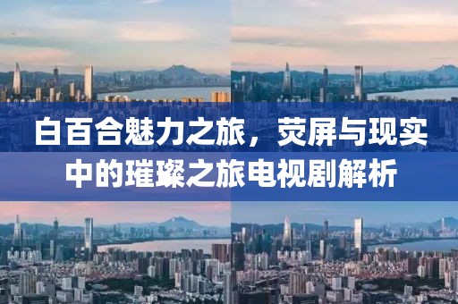白百合魅力之旅，荧屏与现实中的璀璨之旅电视剧解析