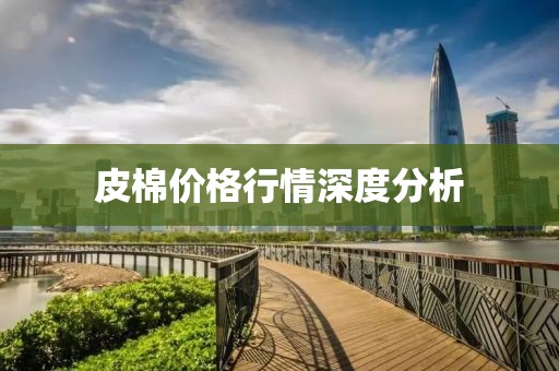 皮棉价格行情深度分析