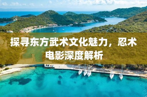 探寻东方武术文化魅力，忍术电影深度解析
