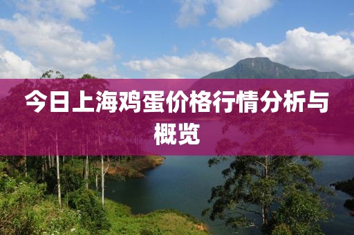 今日上海鸡蛋价格行情分析与概览