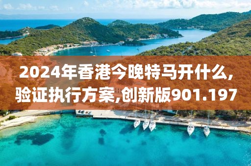 2024年香港今晚特马开什么,验证执行方案,创新版901.197