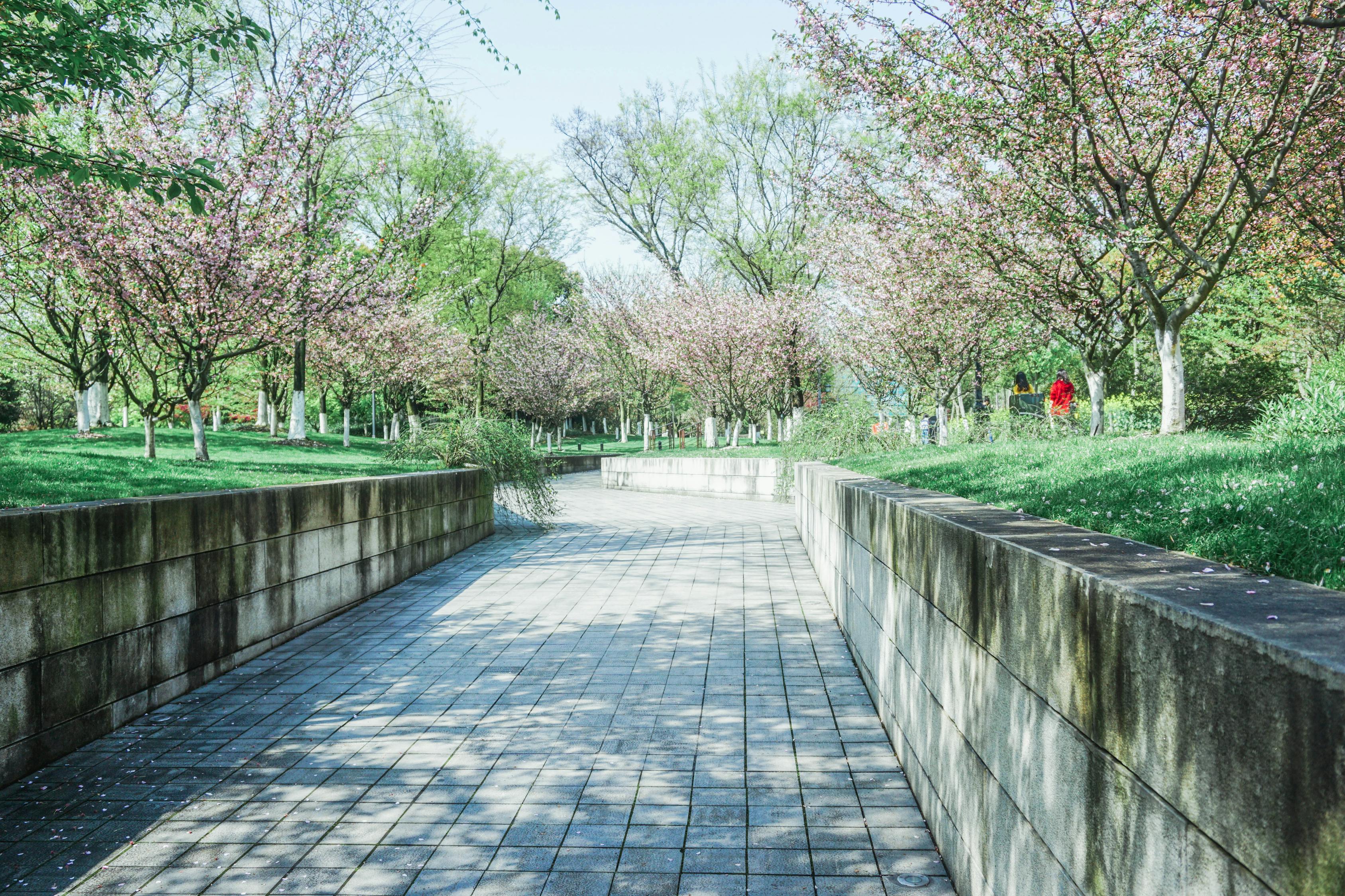 南京上市环保，绿色发展的典范之路