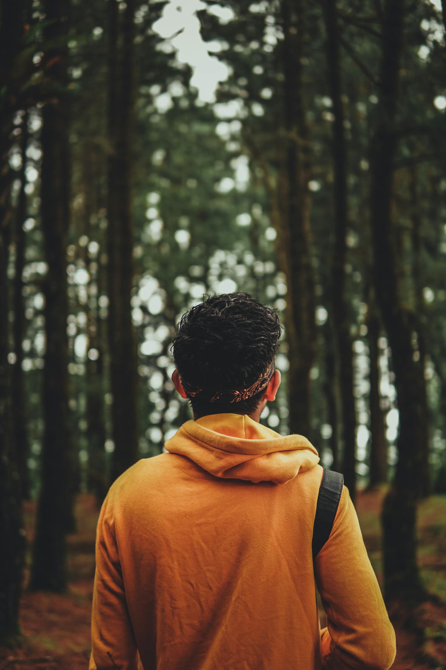 最新男同视频，探索与理解的视角