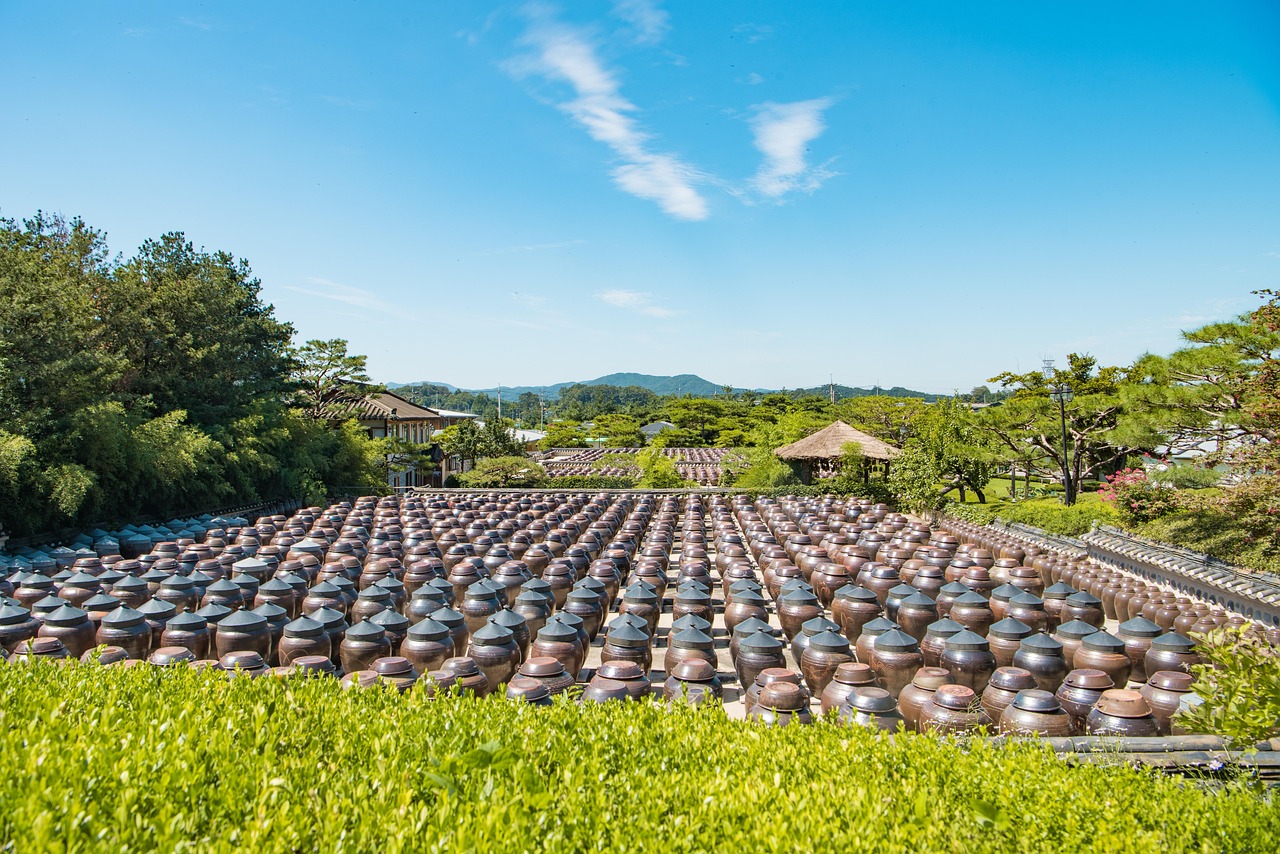 花开景年 第14页