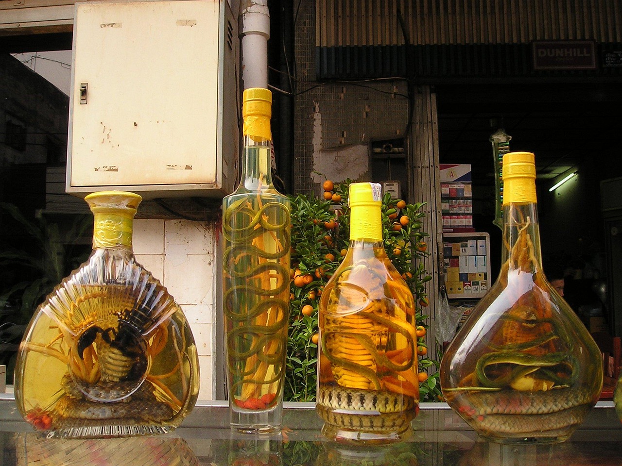 麟州坊酒价格大全，最新价格一览表