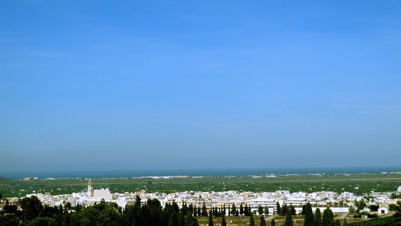 最新糯稻市场动态及其深度分析