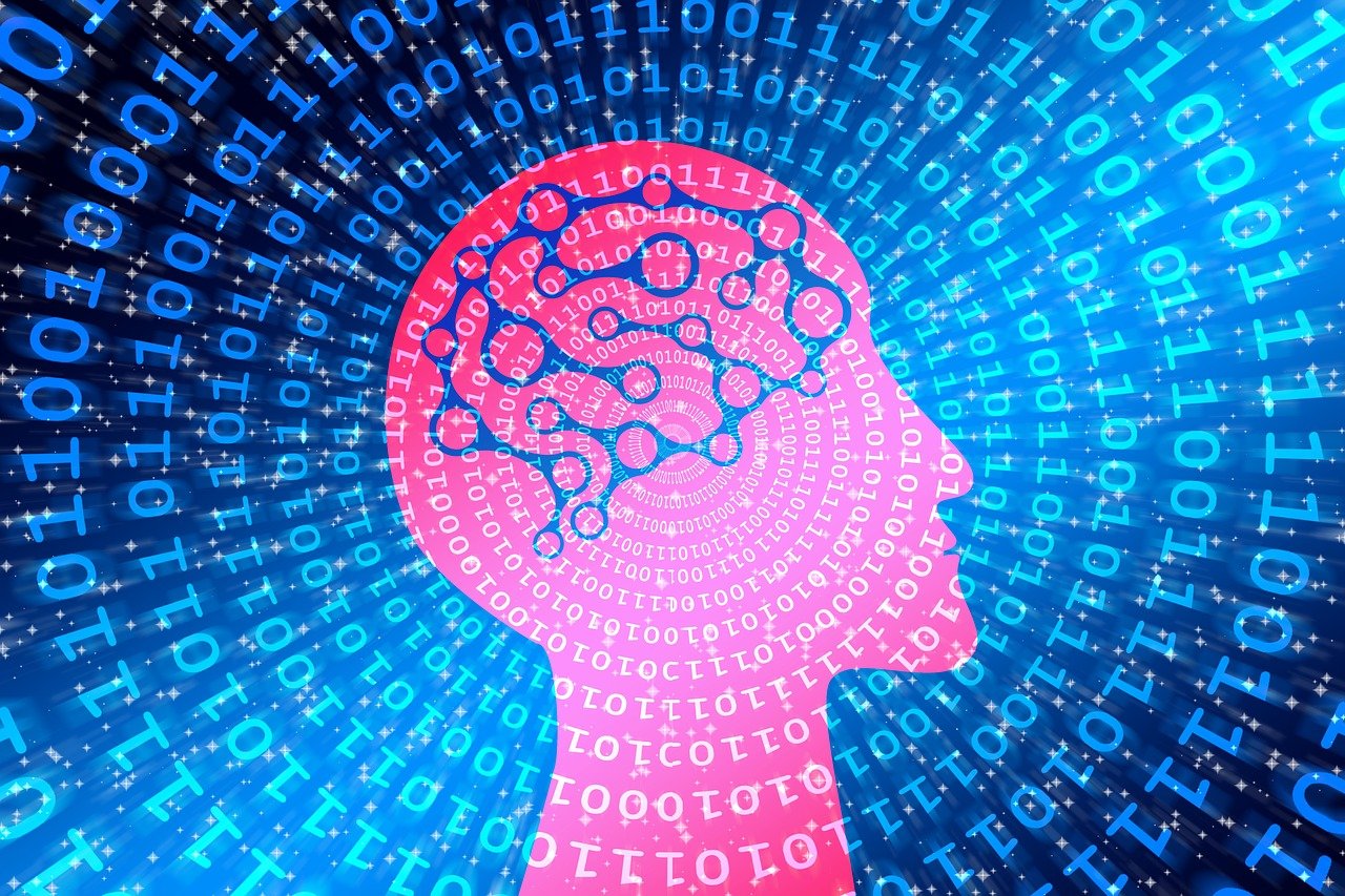 探索数字世界的宝藏，最新BT资源网站大盘点