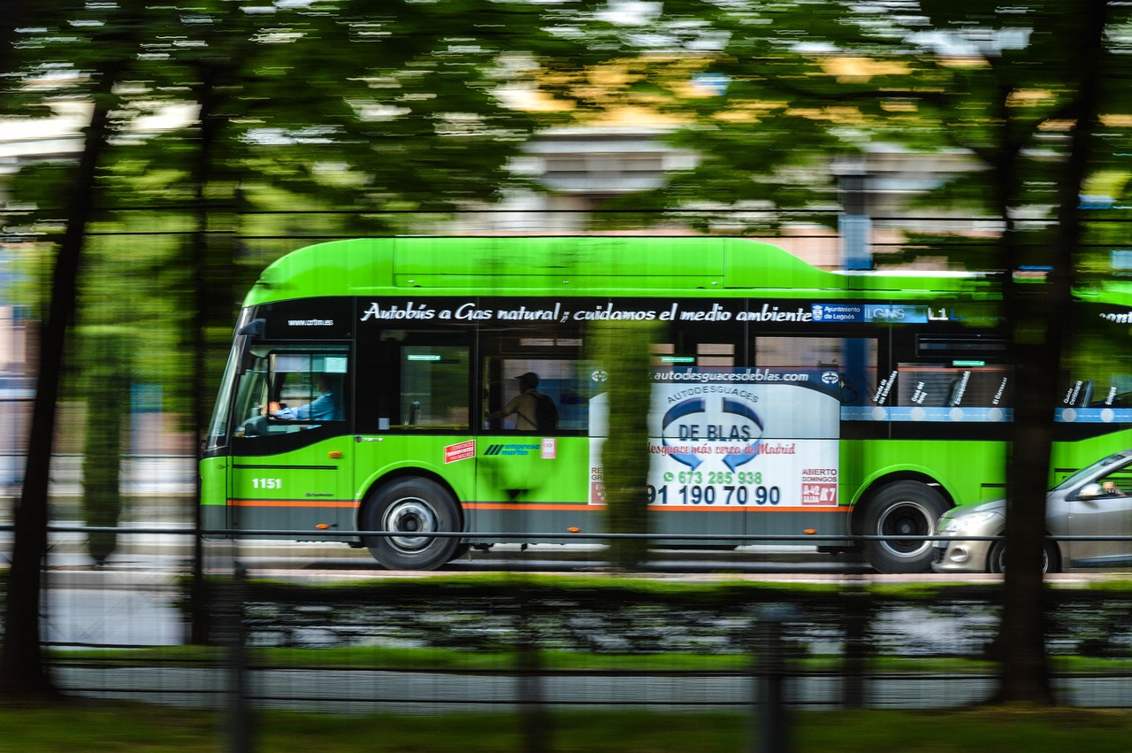 比亚迪海豹冠军版上市，引领新能源汽车市场新篇章