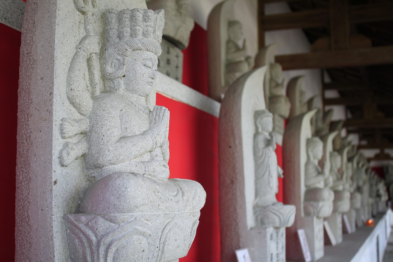 中国援助动态展现大国担当风采
