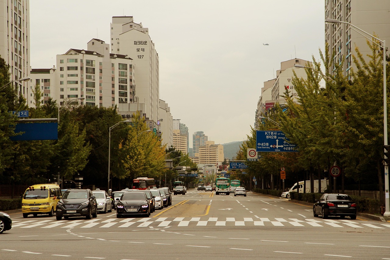 泗阳穿城周哲最新动态，探寻城市新脉动