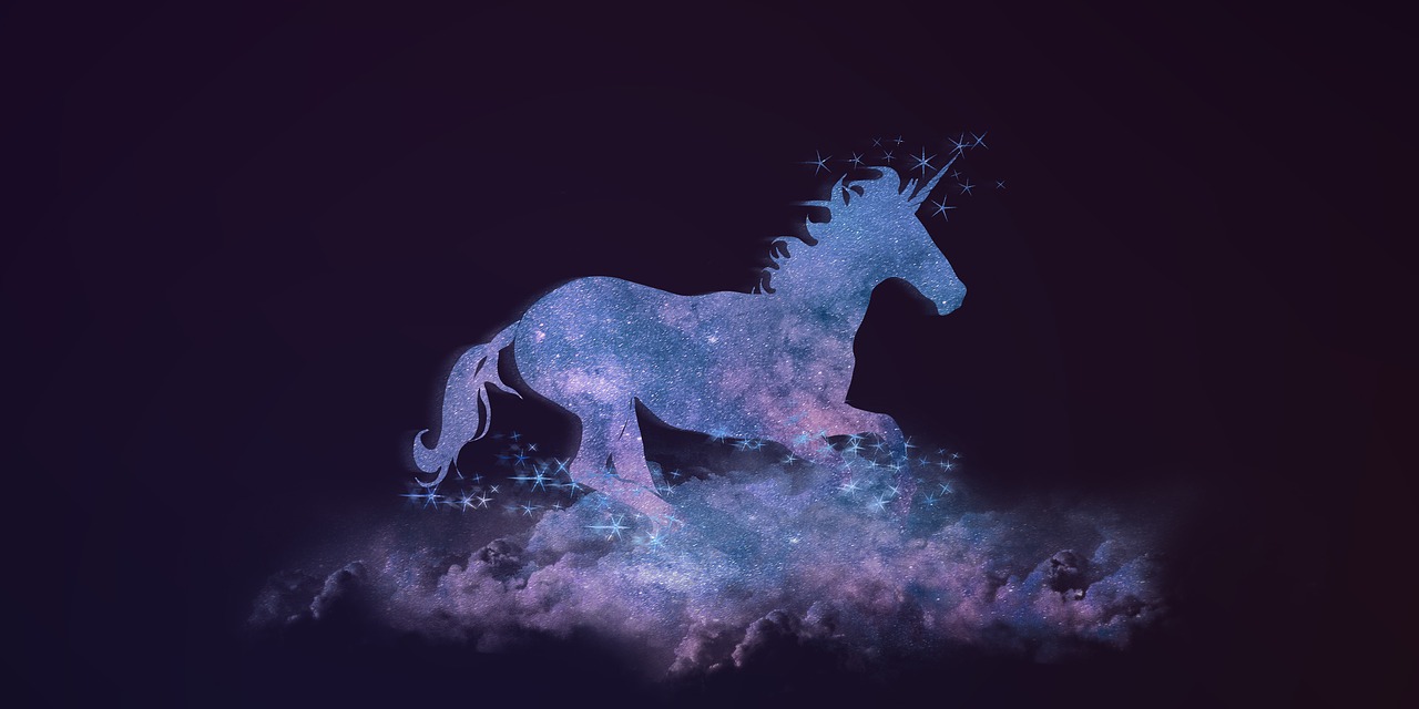 奔明星现象，追逐星光的深度探索